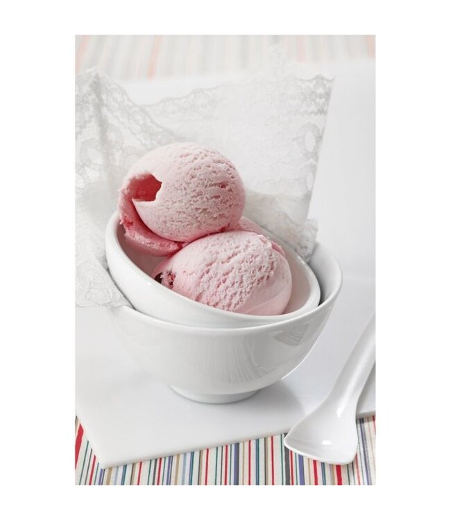 HIC Harold Import Company Anti-Freeze Ice Cream Scoop