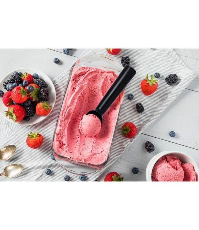 HIC Harold Import Company Anti-Freeze Ice Cream Scoop