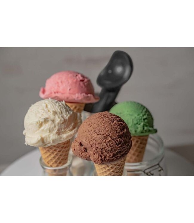 HIC Harold Import Company Anti-Freeze Ice Cream Scoop