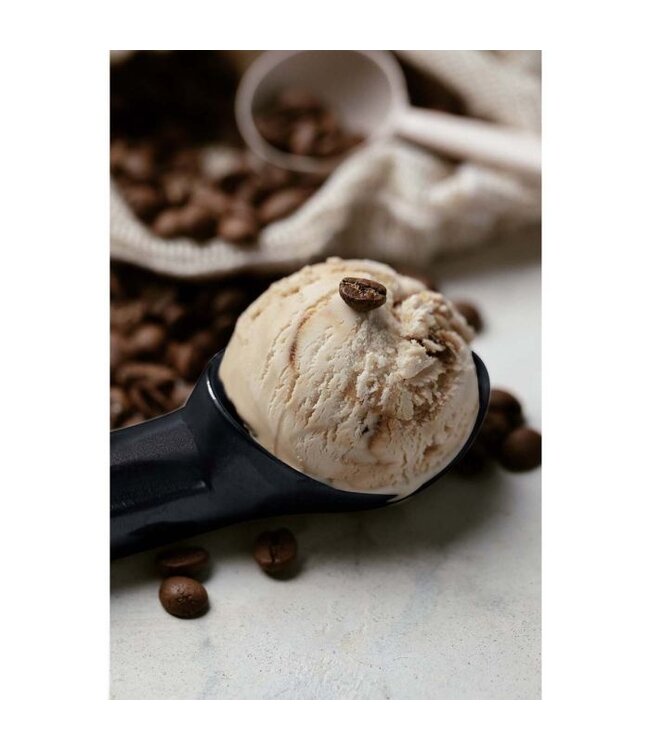 HIC Harold Import Company Anti-Freeze Ice Cream Scoop