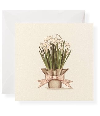 Paperwhites Individual Gift Enclosure