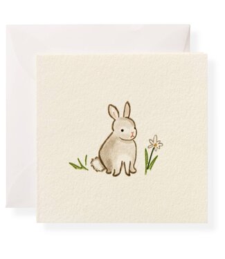 Bunny Gift Enclosure