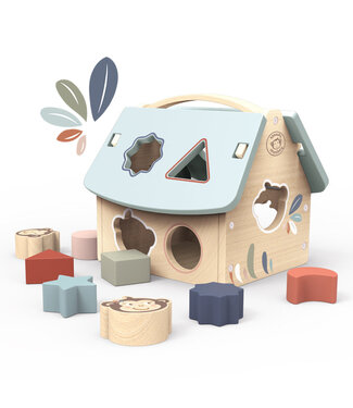 House Shape Sorter