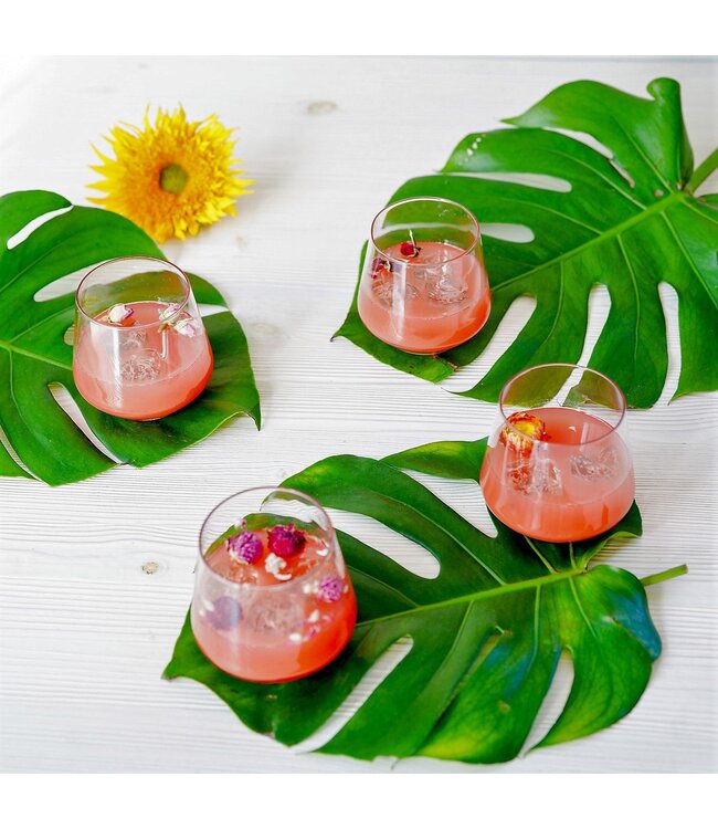 Byrdeen Flora Cocktail Glass - Set of 4