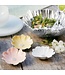 Mariposa Cosmos Yellow Dip Dish