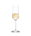 6.75oz Revolution Champagne Flute -  Set of 6