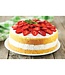 HIC Harold Import Company Strawberry Slicer