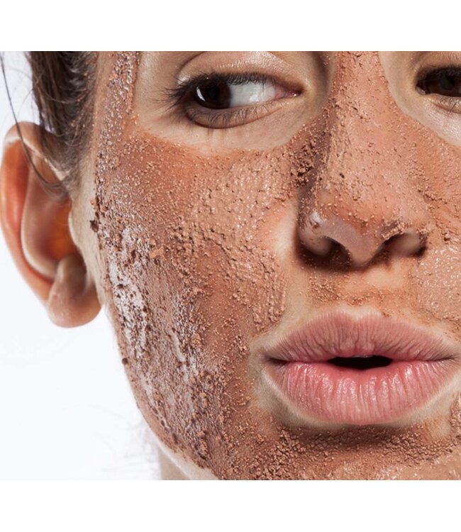 Farmhouse Fresh Sanded Ground Clarifying Mud Exfoliation Mask