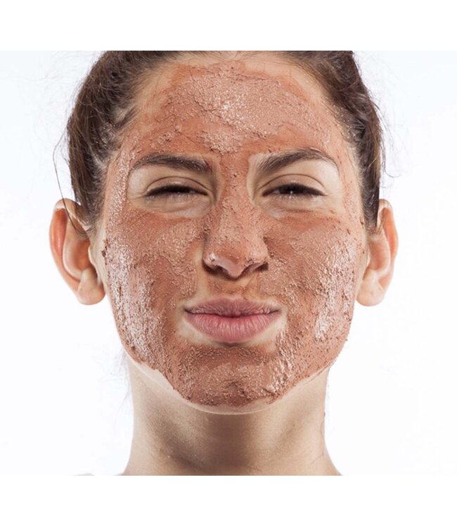 Farmhouse Fresh Sanded Ground Clarifying Mud Exfoliation Mask