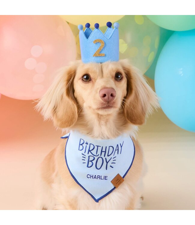 The Foggy Dog Dog Birthday Crown