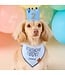 The Foggy Dog Dog Birthday Crown