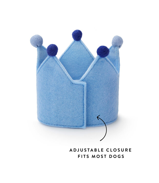 The Foggy Dog Dog Birthday Crown