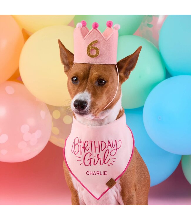 The Foggy Dog Dog Birthday Crown