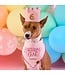 The Foggy Dog Dog Birthday Crown