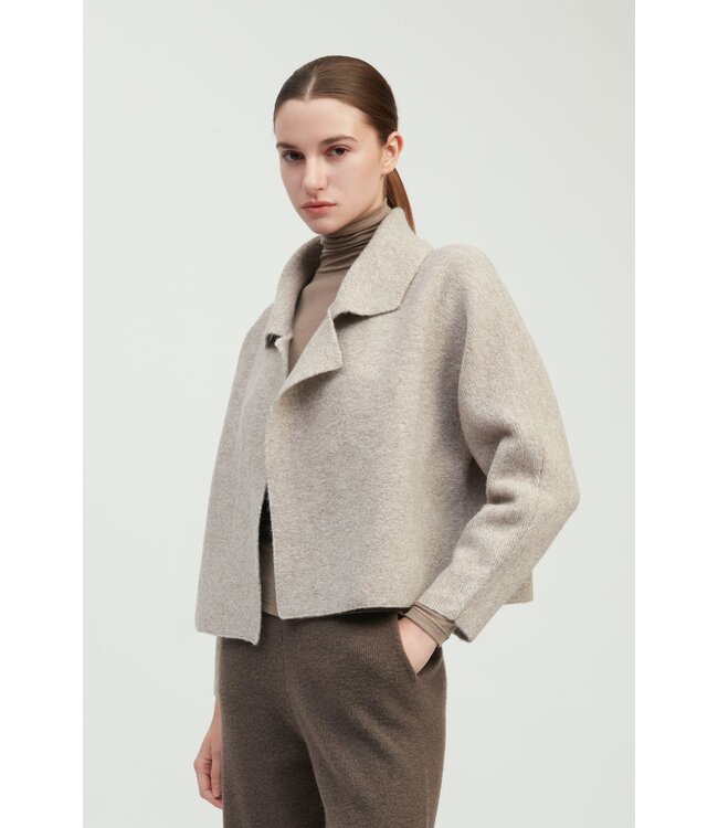 Common Knit Flap Collar Crop Cardigan