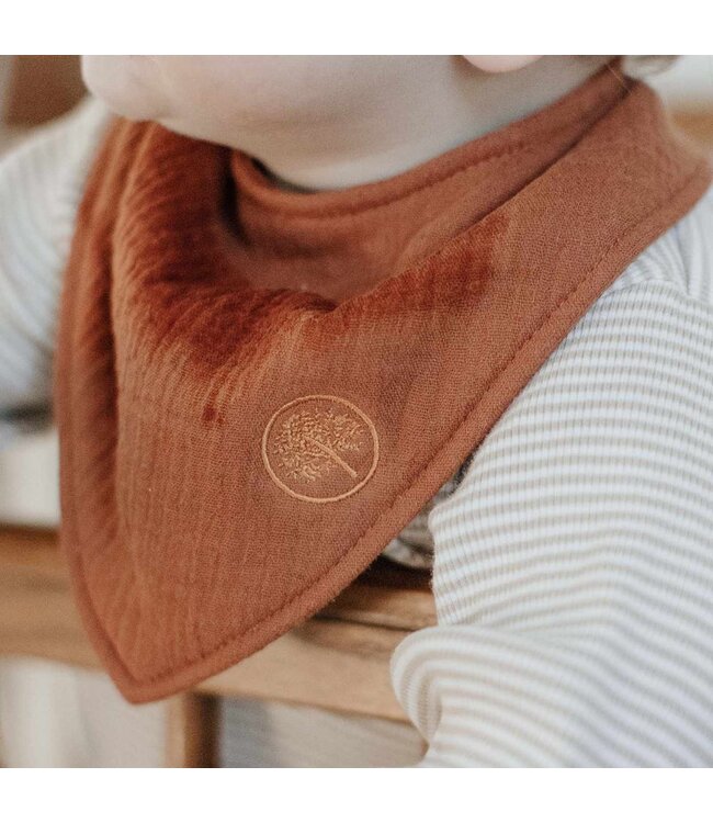 Stormy Muslin Bandana Bibs Set (4-Pack)