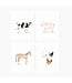 Notecard Set