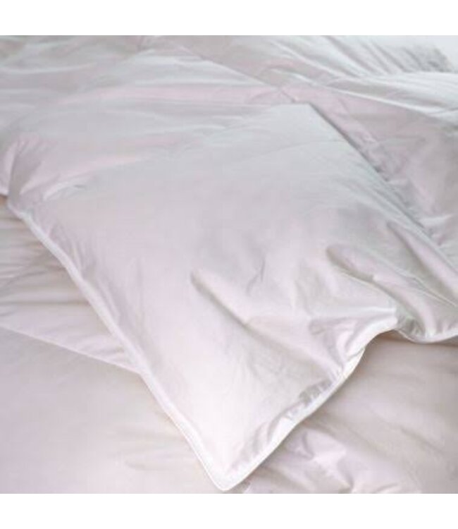 Downright Cascada Twin Comforter AYW White Down