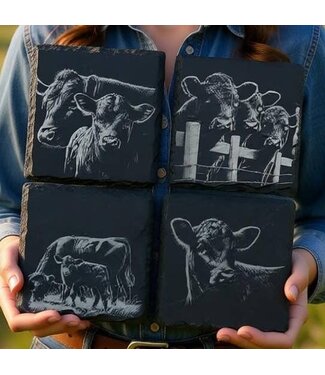 Cow Engraved Slate Coasters, S/4