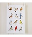 Tea Towel - Birds