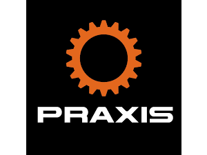Praxis