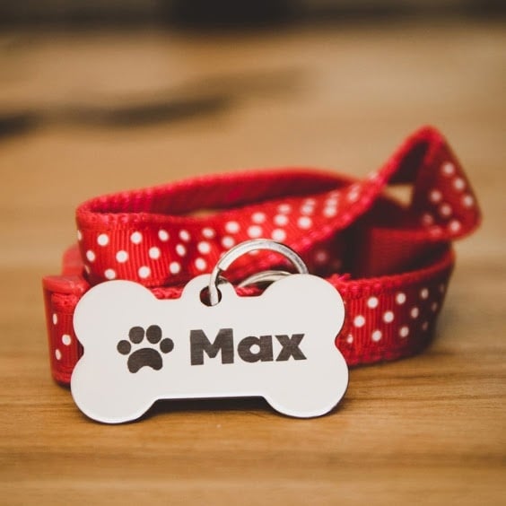 A personalized dog tag reading the name Max on a red polka dot collar engraved using the FLUX Beamo.