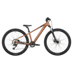 Scott Roxter 600 Bronze