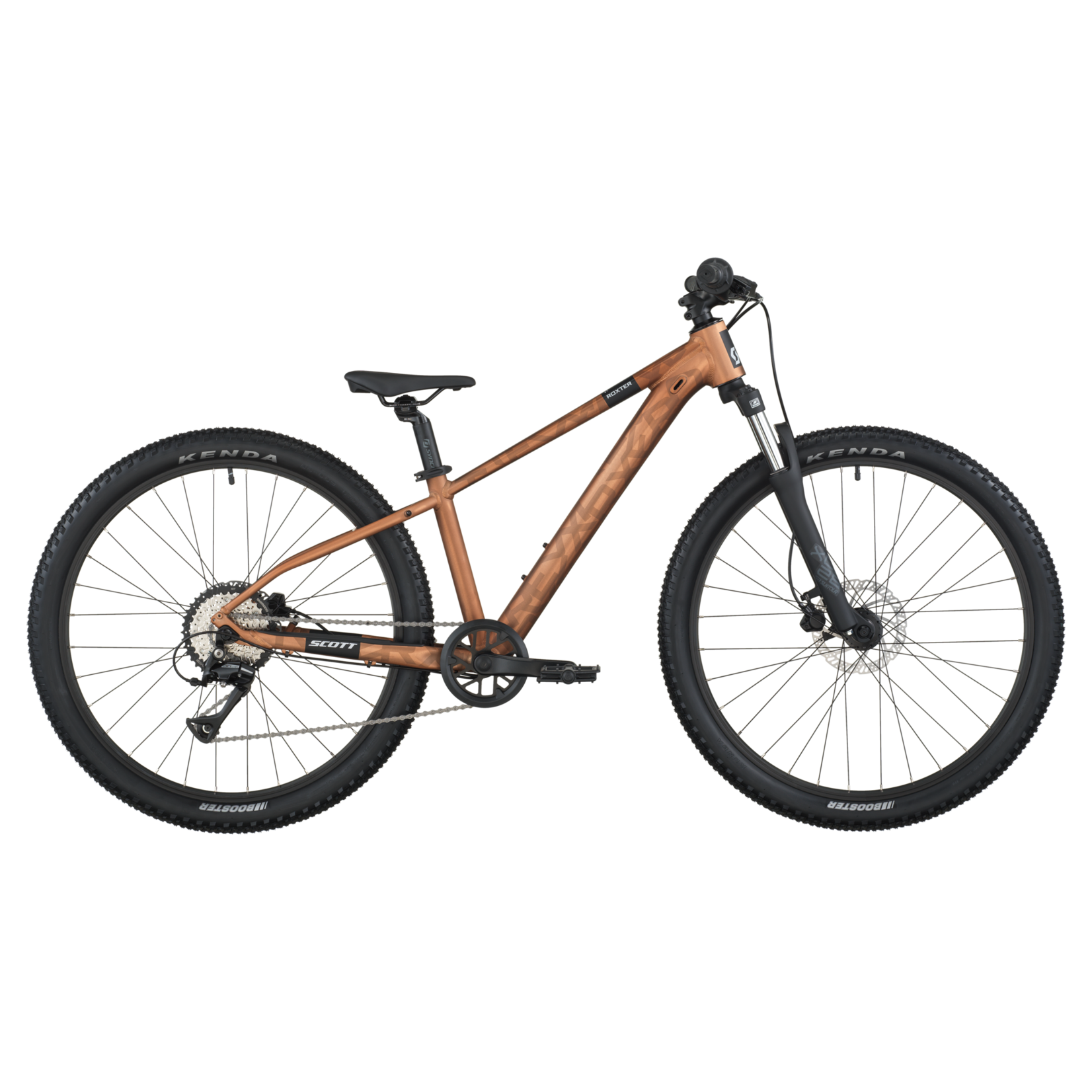 Scott Roxter 600 Bronze