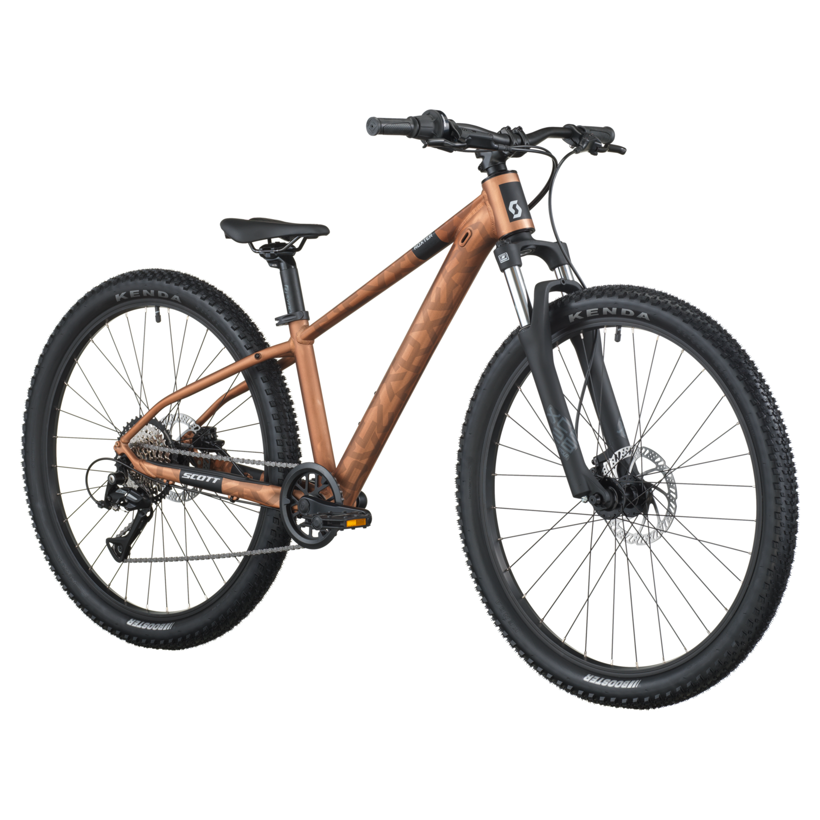 Scott Roxter 600 Bronze