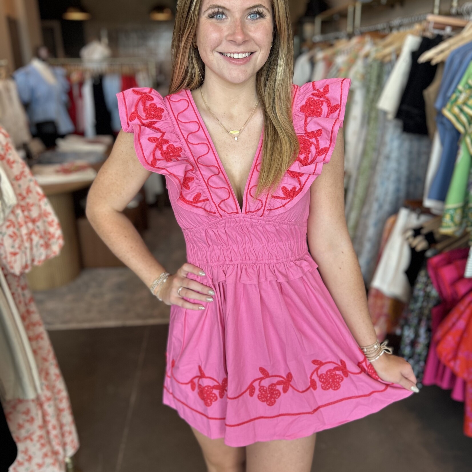 Embroider Detail Mini Dress