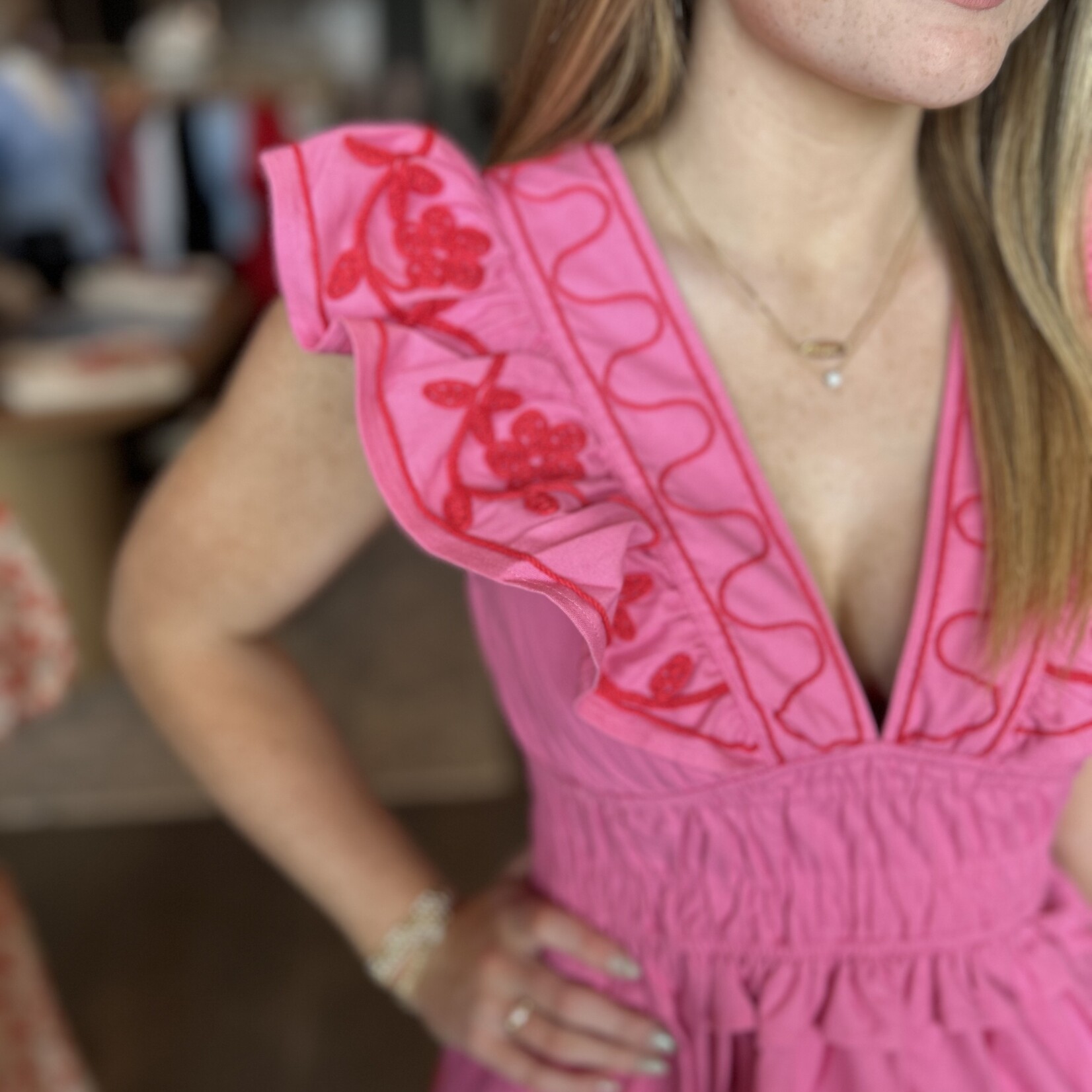 Embroider Detail Mini Dress