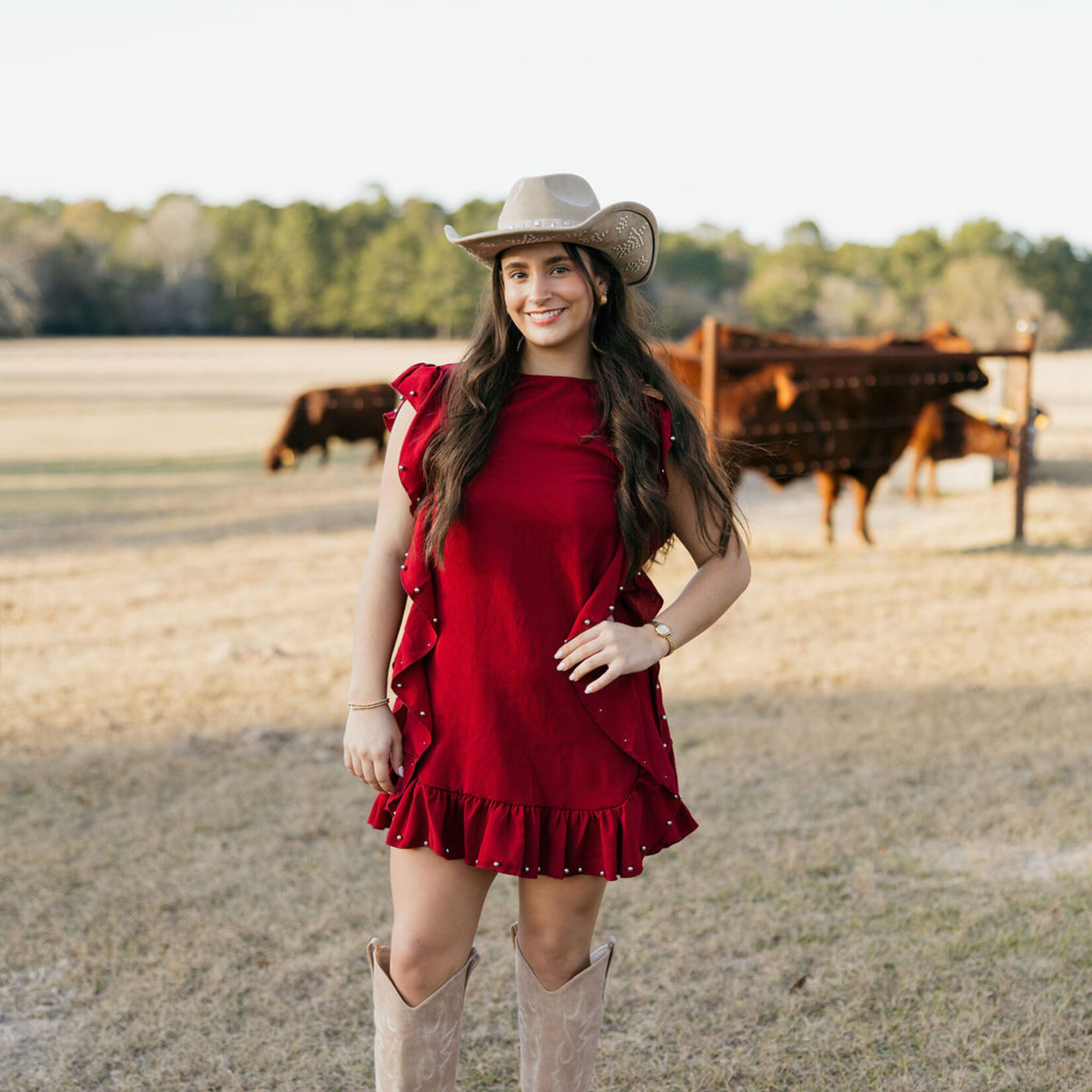 tcec Embellished Ruffle Dress