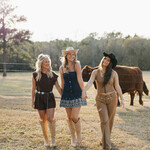 hidden Wide Leg Suede Pants