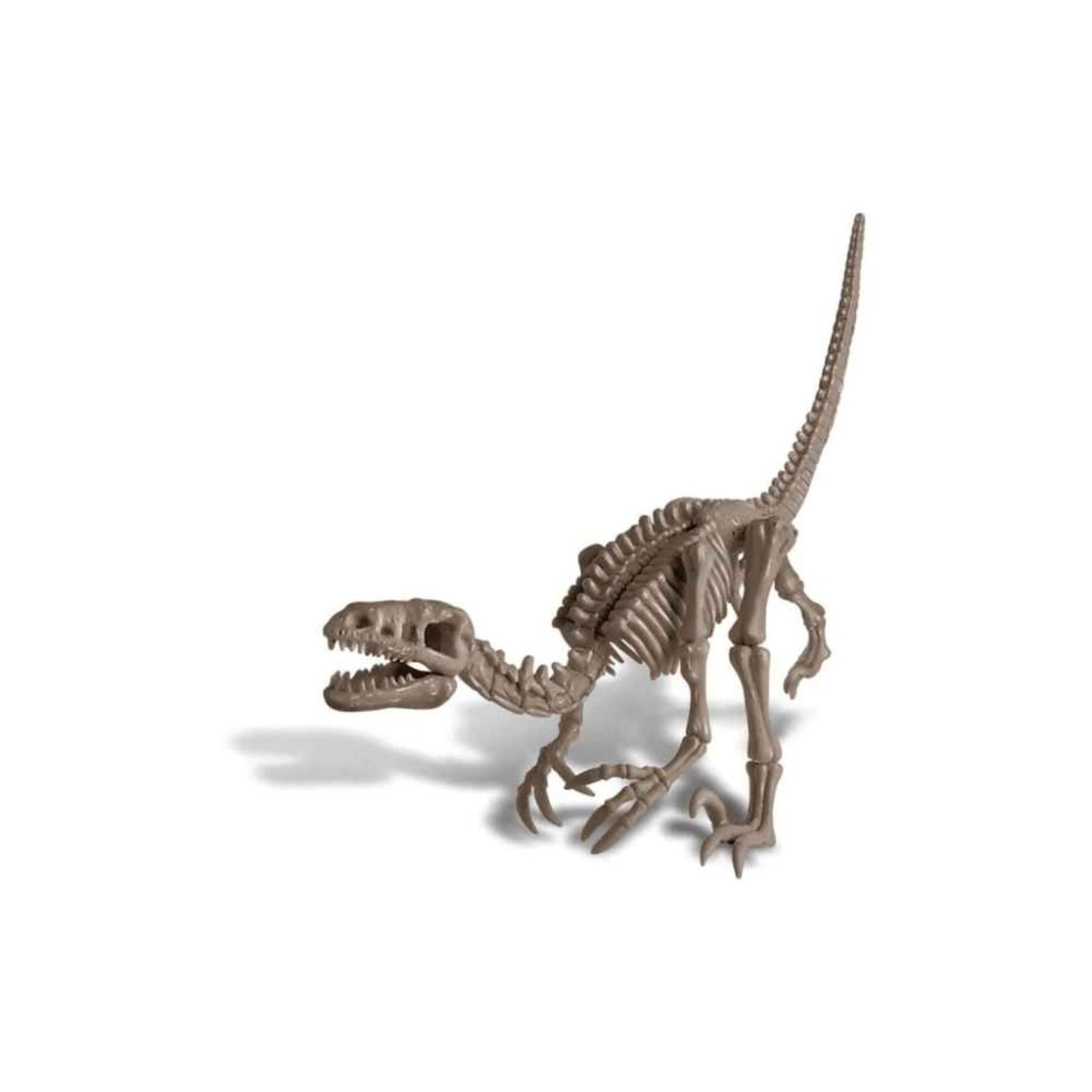4M KidzLabs Dig a Velociraptor Skeleton
