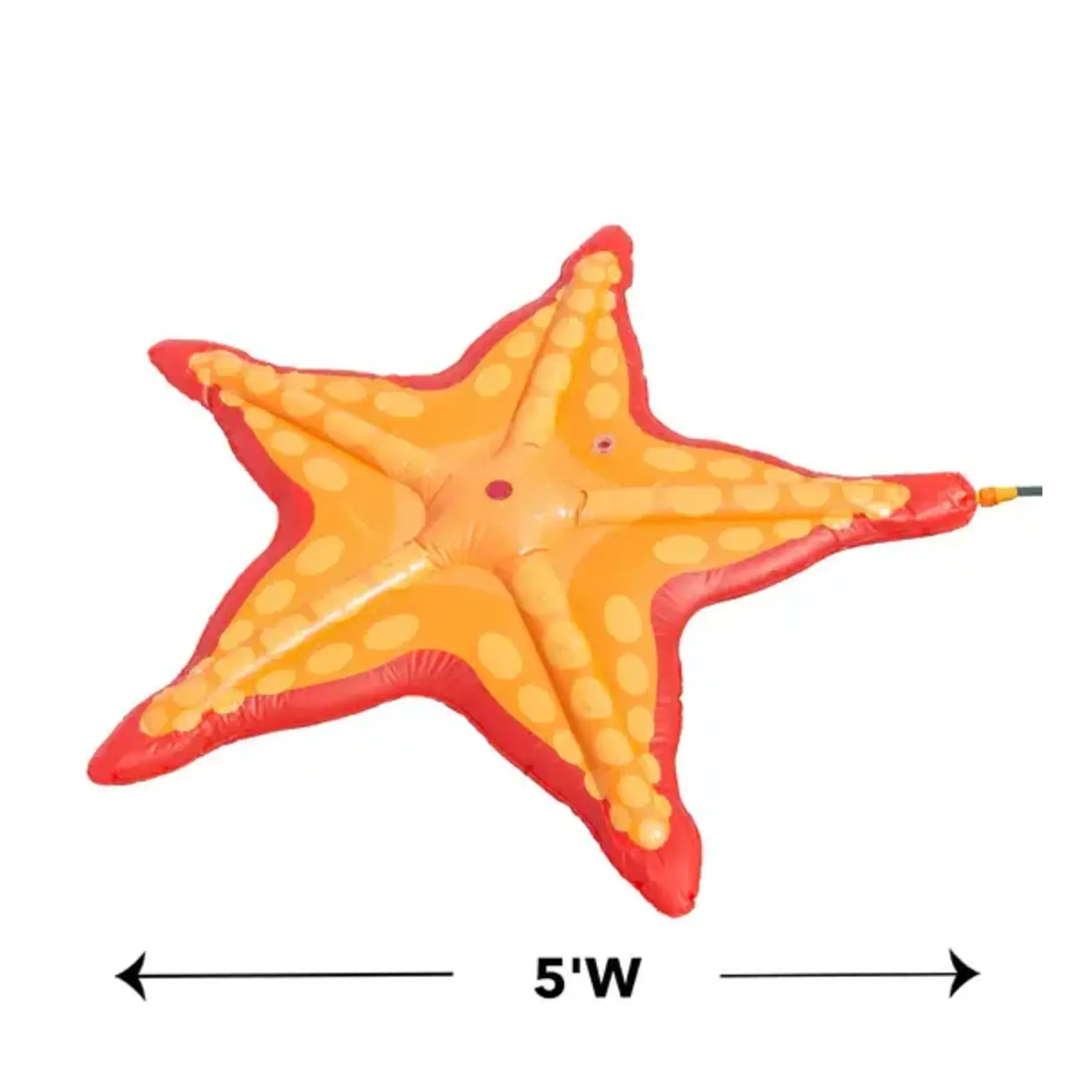 Starfish Sprinkler Splash Pad