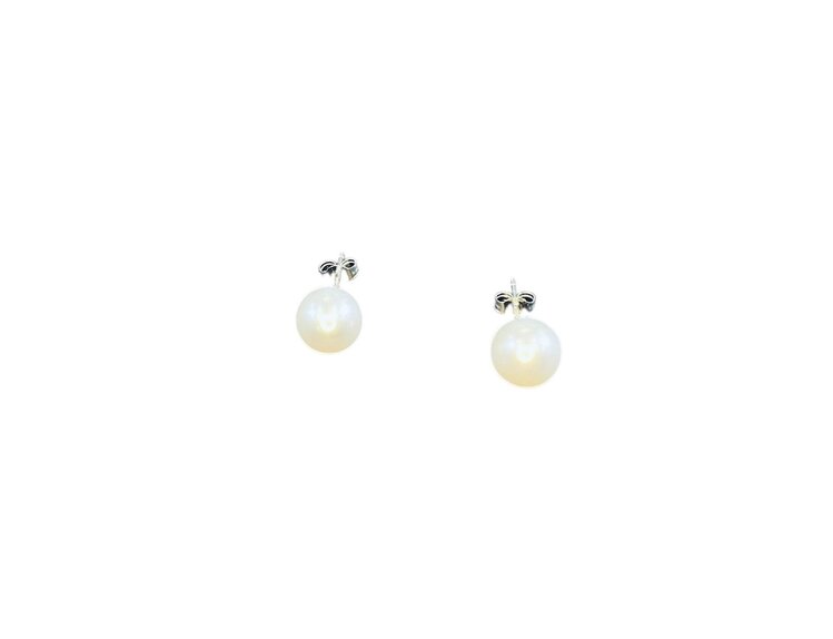 MASTALONI (Y)14KW 5.5-6MM FRESHWATER PEARL STUDS WITH PUSH BACKS