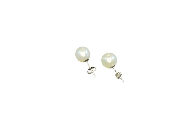 MASTALONI (Y)14KW 5.5-6MM FRESHWATER PEARL STUDS WITH PUSH BACKS
