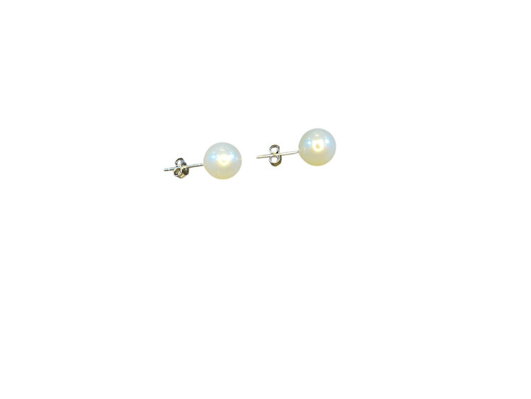 MASTALONI (Y)14KW 5.5-6MM FRESHWATER PEARL STUDS WITH PUSH BACKS