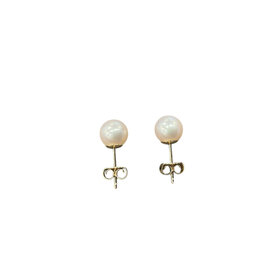 MASTALONI (Y)14KY 6-6.5MM FRESHWATER PEARL STUD EARRINGS