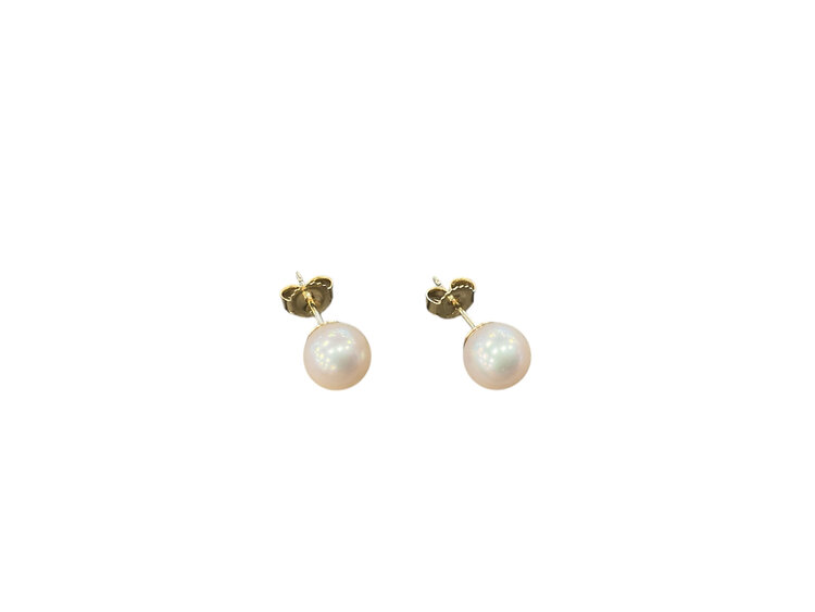 MASTALONI (Y)14KY 6-6.5MM FRESHWATER PEARL STUD EARRINGS