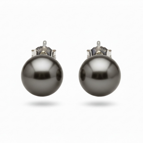 (Y)14K 8MM TAHITIAN PEARL STUDS IN WHITE GOLD