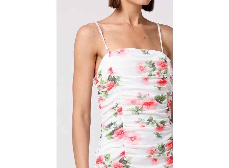 AngelEye Mulberry Dress
