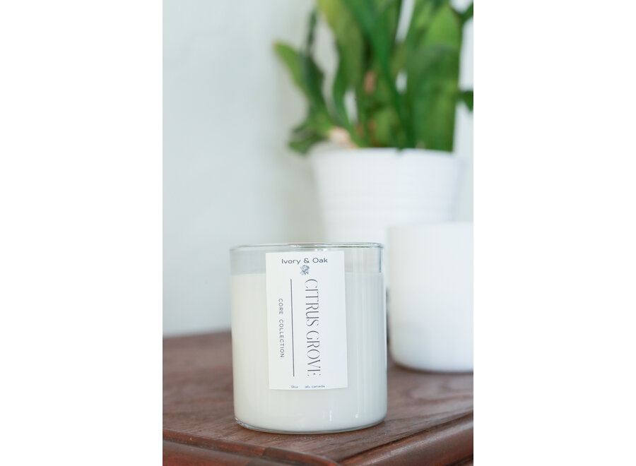 Ivory & Oak - Luxury Candle Seasonal- 9oz