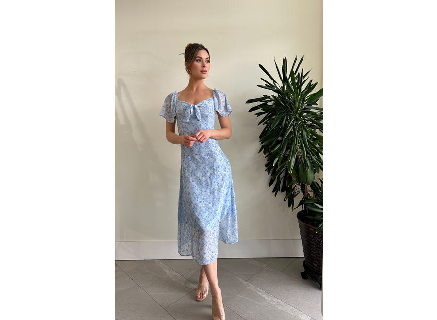 AngelEye Daylily Dress