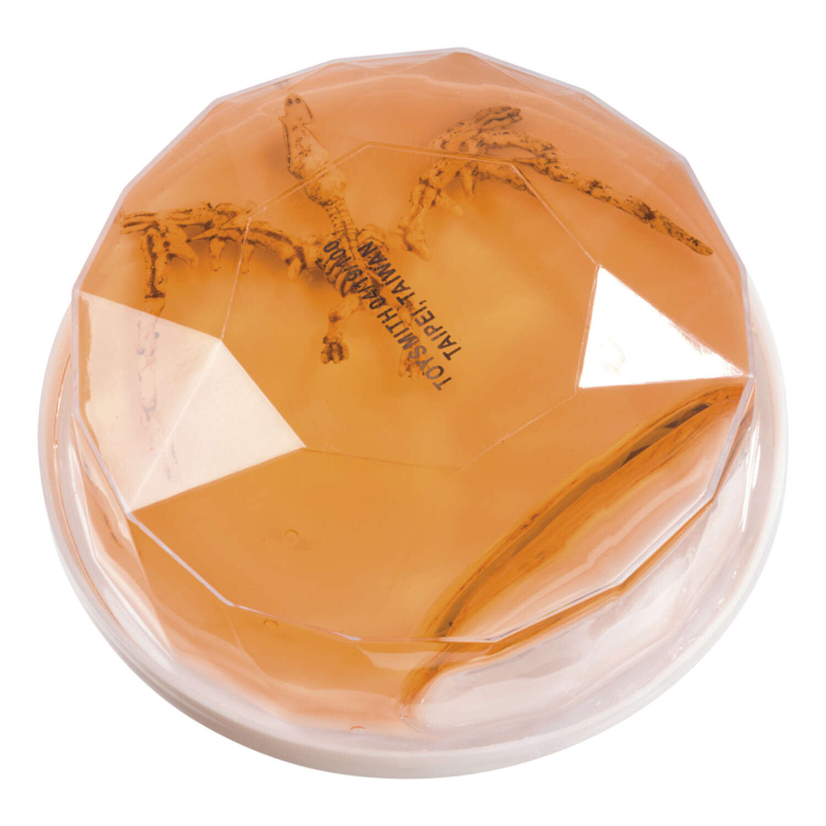 Toysmith Dinosaur Fossil Putty