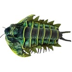Trilobite Green Plush
