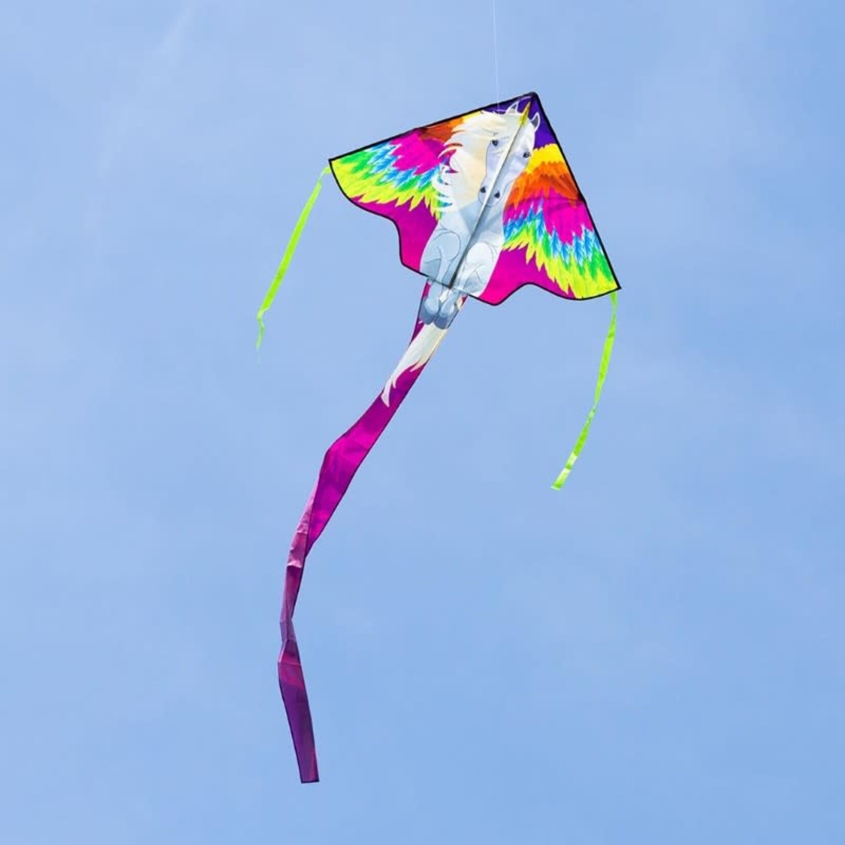 HQ Kites Simple Flyer Pegasus Kite 47"