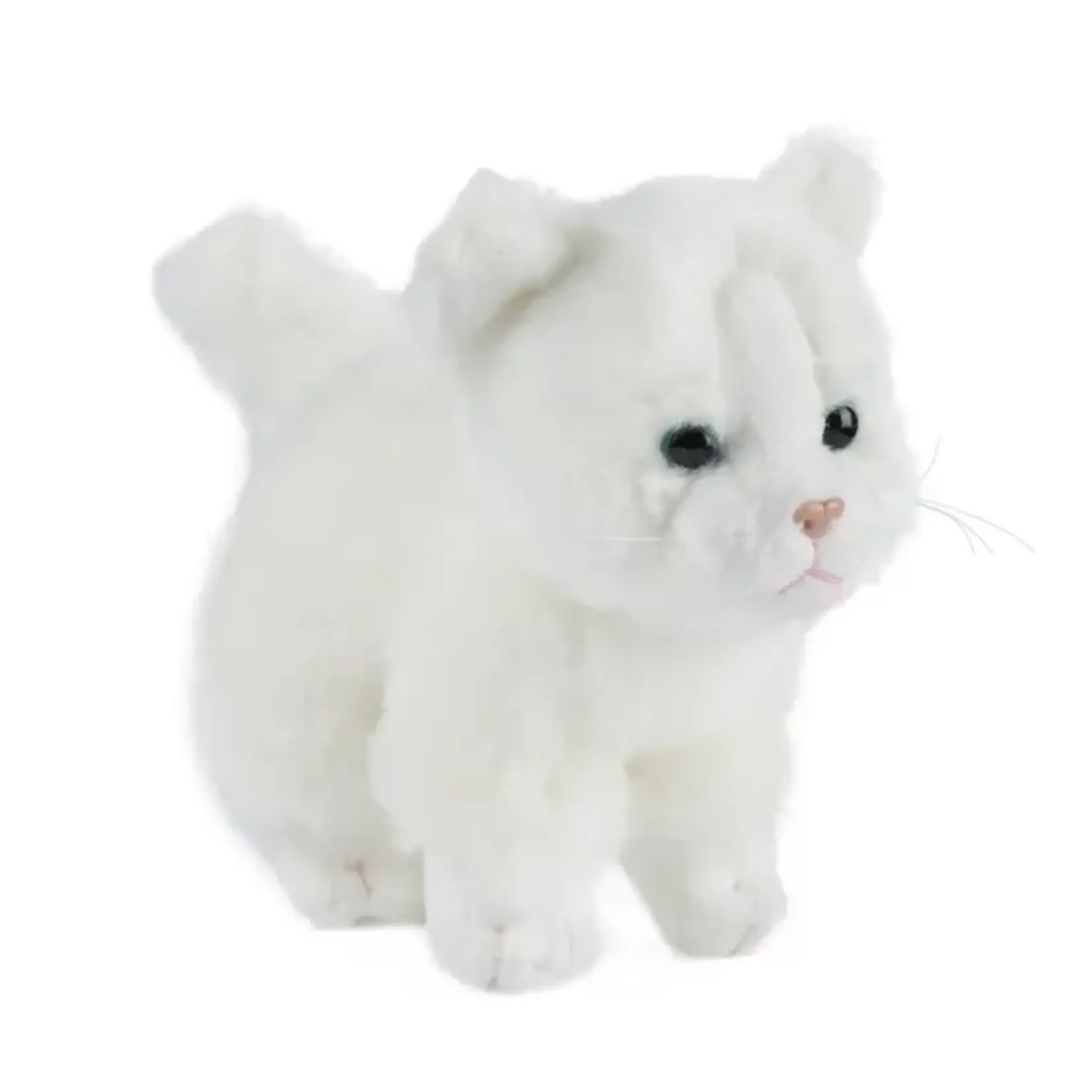 Keycraft Global Small Cat Plush assort