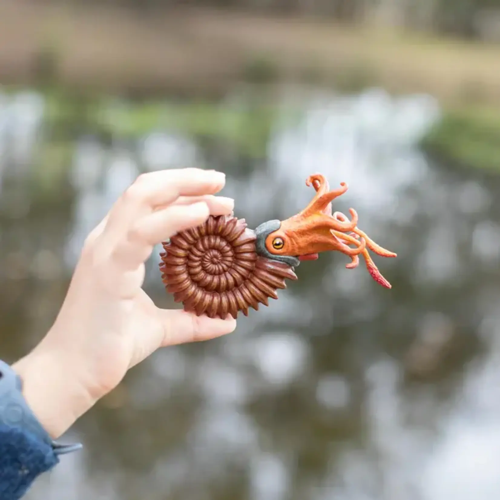 Safari Ltd Ammonite