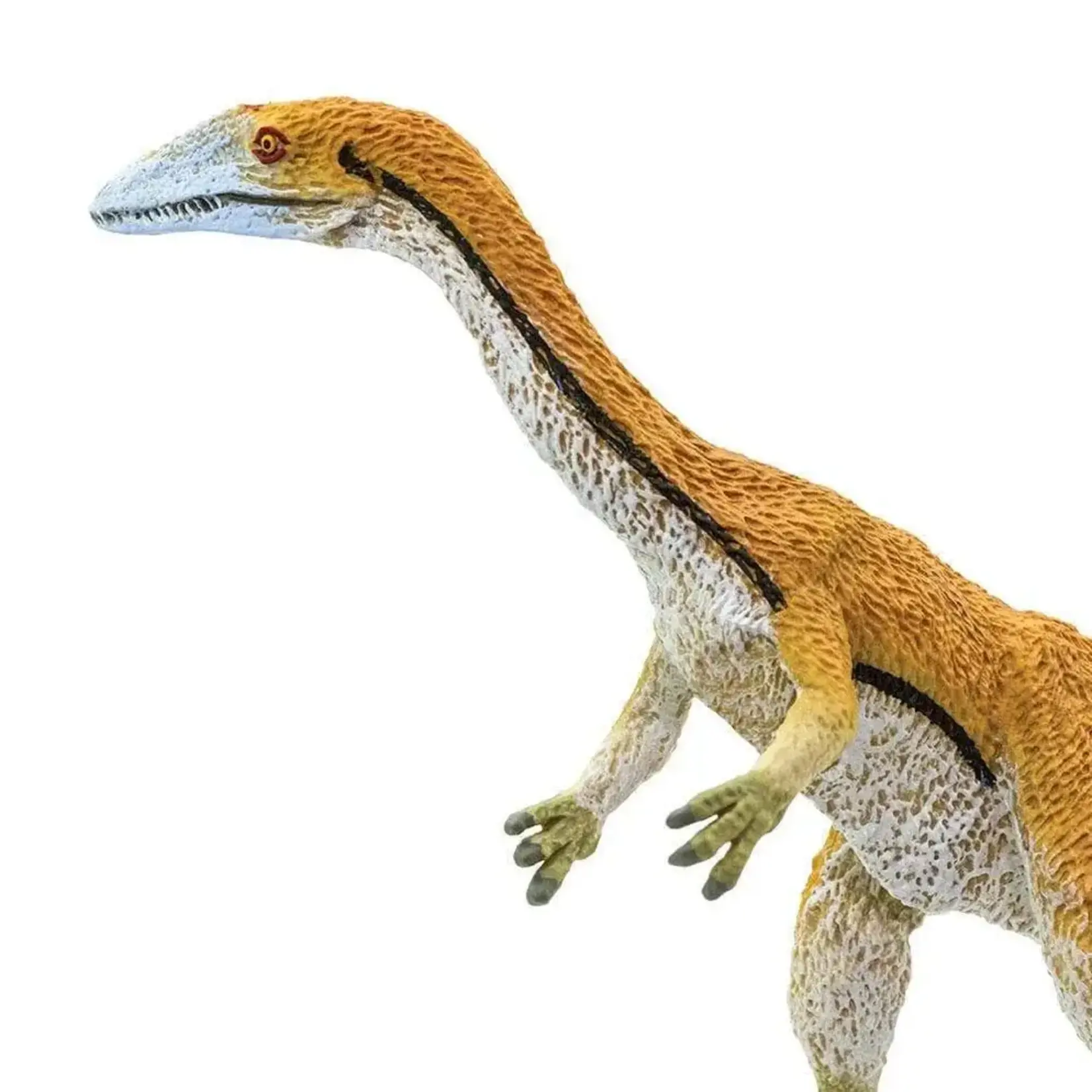 Safari Ltd Coelophysis